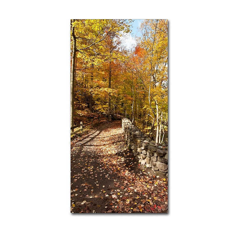 Trademark Fine Art KS0134-C2447GG "Beautiful Autumn Hike" by Kurt Shaffer 24" x 47" Frameless Art image 1