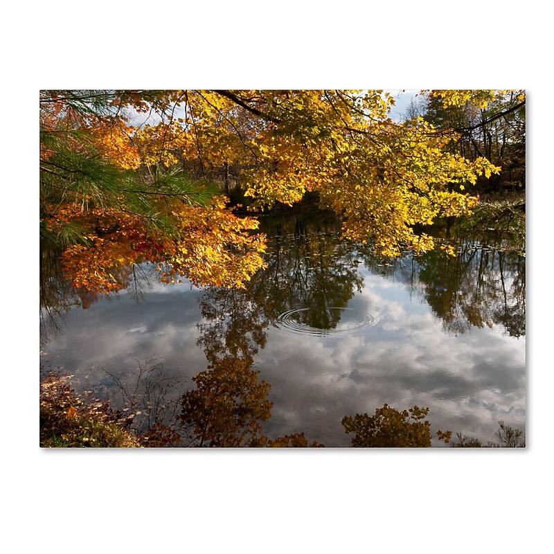 Trademark Fine Art KS0135-C2432GG Kendal Lake Autumn Reflection by Kurt Shaffer 24x32 FRMLS Art image 1