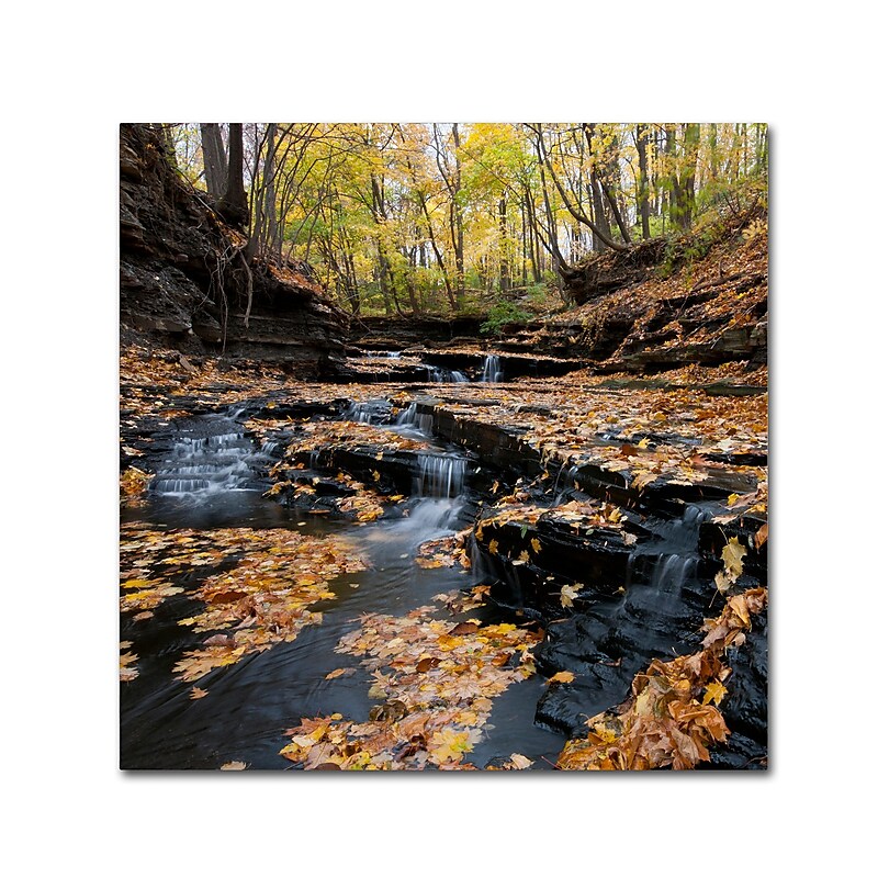 Trademark Fine Art KS0140-C2424GG "Lakeview Autumn Falls" by Kurt Shaffer 24" x 24" Frameless Art image 1