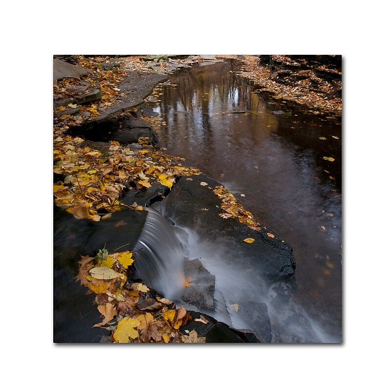 Trademark Fine Art KS0141-C2424GG "Lakeview Autumn Waterfall #2" by Kurt Shaffer 24" x 24" FRMLS Art image 1