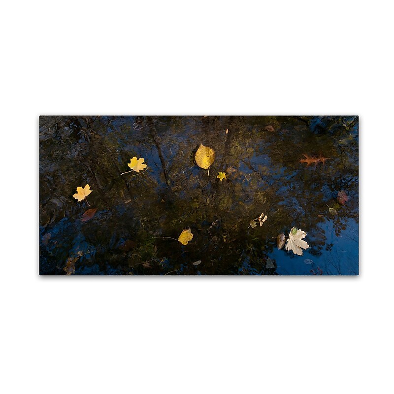 Trademark Fine Art KS0147-C1019GG "Autumn Leaves Floating By" by Kurt Shaffer 10" x 19" FRMLS Art image 1