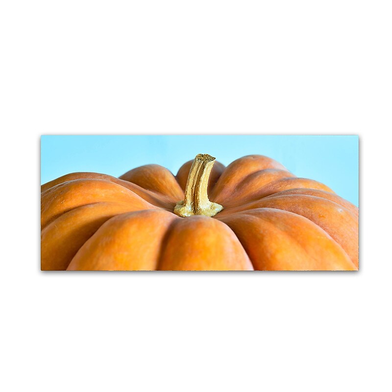 Trademark Fine Art KS0160-C819GG "Italian Pumpkin" by Kurt Shaffer 8" x 19" Frameless Art image 1