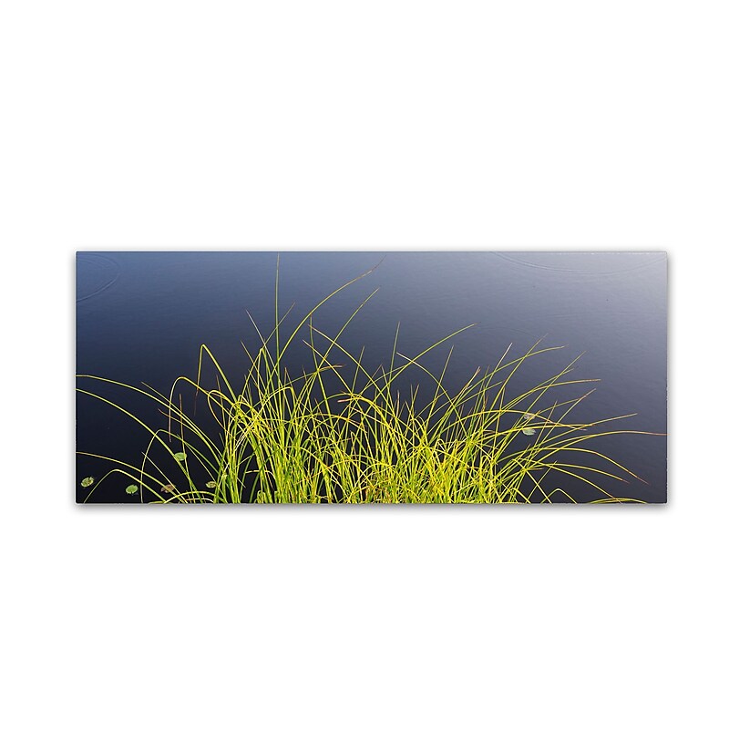 Trademark Fine Art KS0171-C819GG "Pond Grass Abstract" by Kurt Shaffer 8" x 19" Frameless Art image 1