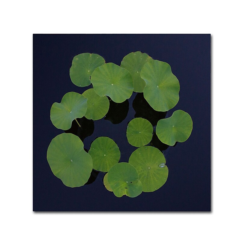 Trademark Fine Art KS0175-C2424GG "Giant Lily Pad Abstract" by Kurt Shaffer 24" x 24" Frameless Art image 1