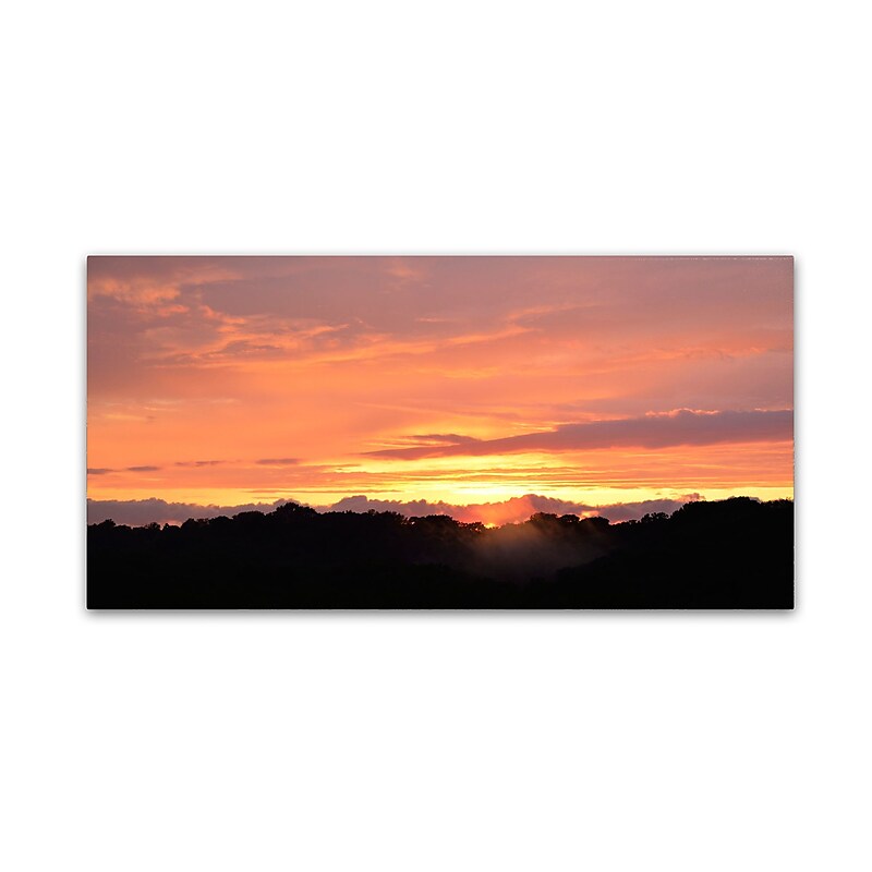 Trademark Fine Art KS0188-C1632GG "Valley Sunset" by Kurt Shaffer 16" x 32" Frameless Art image 1