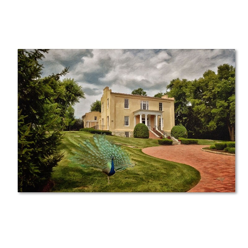 Trademark Fine Art LBR0235-C2232GG "A Peacock on the Lawn" by Lois Bryan 22" x 32" Frameless Art image 1