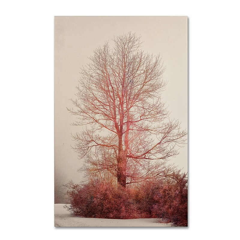 Trademark Fine Art LBR0238-C1219GG "A-Blush in the Fog" by Lois Bryan 19" x 12" Frameless Art image 1