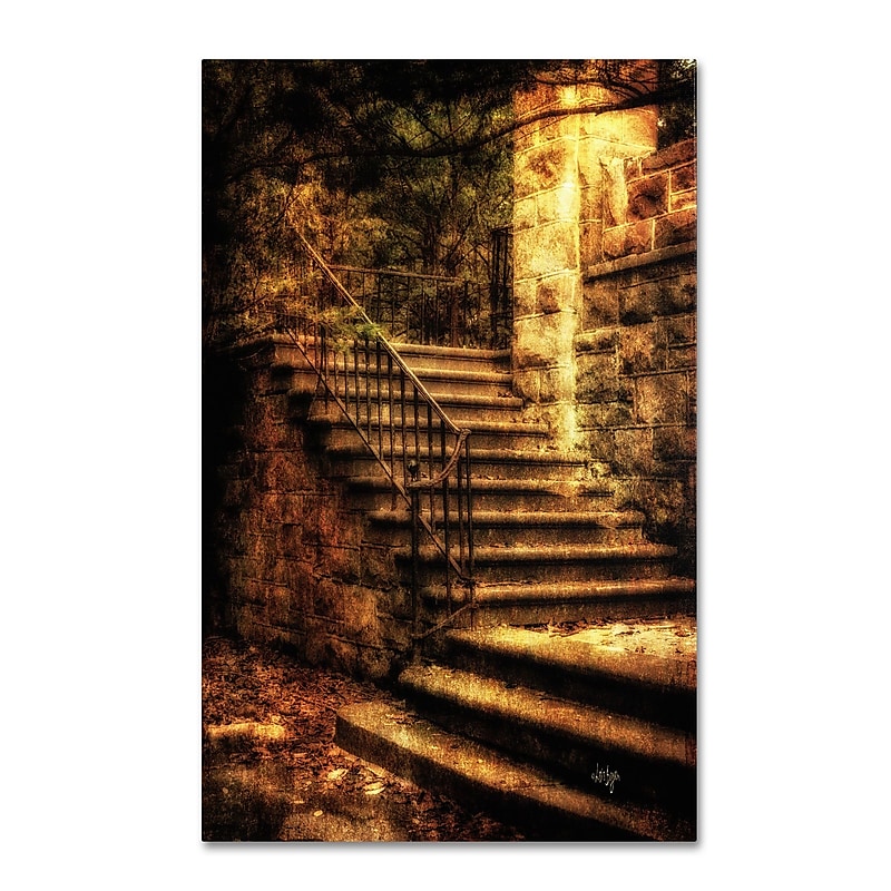 Trademark Fine Art LBR0239-C1624GG "Abandoned Stone Staircase" by Lois Bryan 24" x 16" Frameless Art image 1