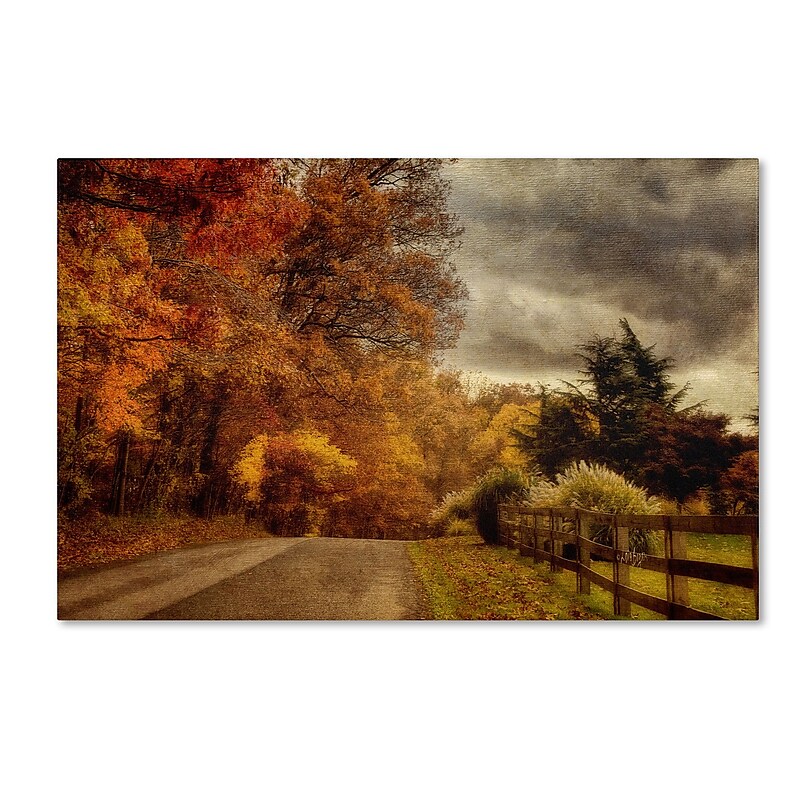 Trademark Fine Art And the Seasons They Go Round and Round by Lois Bryan 16x24 FRMLS Art image 1