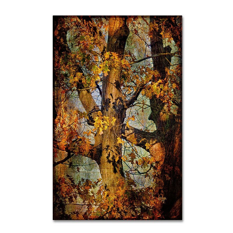 Trademark Fine Art LBR0241-C1219GG "Autumn Oaks in Dance Mode" by Lois Bryan 19" x 12" Frameless Art image 1