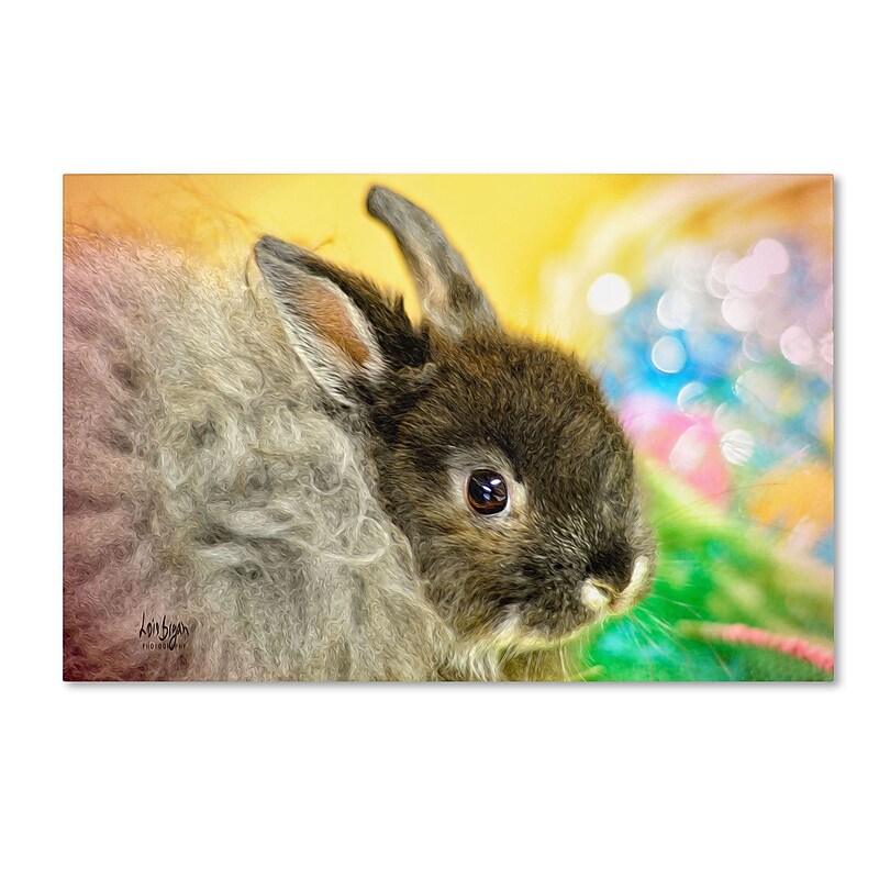 Trademark Fine Art LBR0243-C1624GG "Blessings" by Lois Bryan 16" x 24" Frameless Art image 1