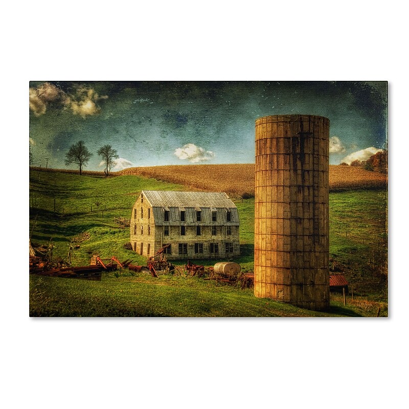 Trademark Fine Art LBR0265-C1624GG "His Pride and Joy" by Lois Bryan 16" x 24" Frameless Art image 1