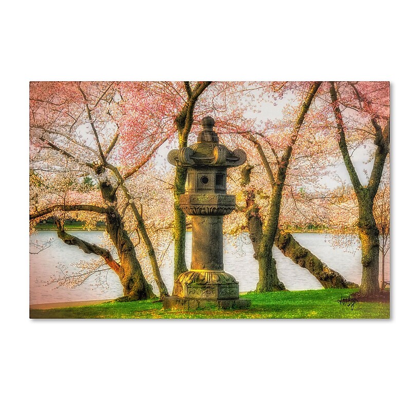 Trademark Fine Art LBR0268-C2232GG "Japanese Stone Lantern" by Lois Bryan 22" x 32" Frameless Art image 1