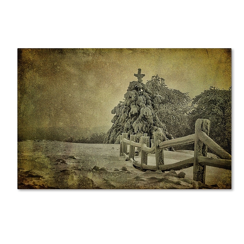 Trademark Fine Art LBR0272-C1219GG "Oh Christmas Tree" by Lois Bryan 12" x 19" Frameless Art image 1