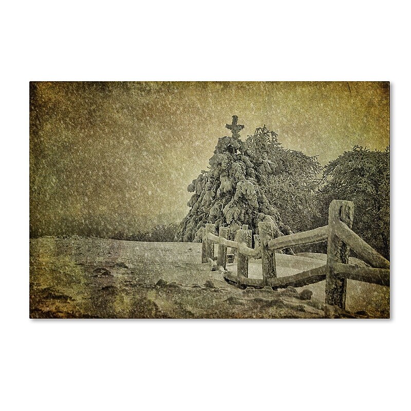 Trademark Fine Art LBR0273-C1219GG "Oh Christmas Tree in Snow" by Lois Bryan 12" x 19" Frameless Art image 1