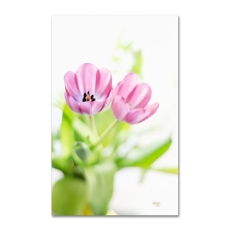 Trademark Fine Art LBR0277-C1219GG "Pink Tulips Drenched in Light" by Lois Bryan 19" x 12" FRMLS Art image 1