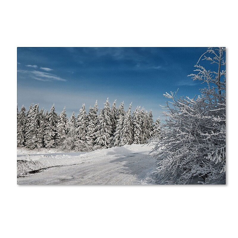 Trademark Fine Art LBR0284-C2232GG "Snowy Country Lane" by Lois Bryan 22" x 32" Frameless Art image 1