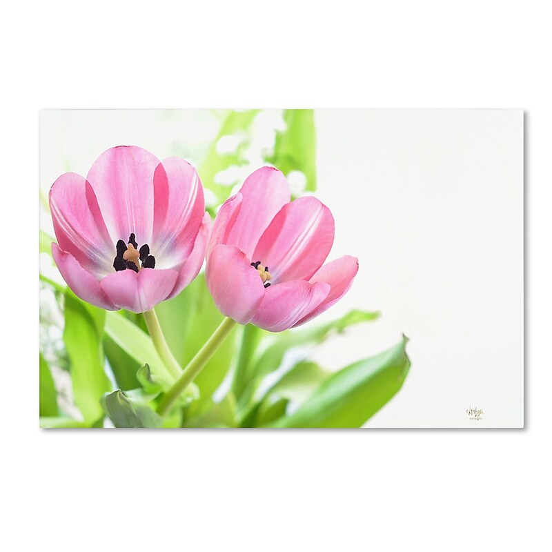 Trademark Fine Art LBR0293-C2232GG "Two Pink Tulips" by Lois Bryan 22" x 32" Frameless Art image 1