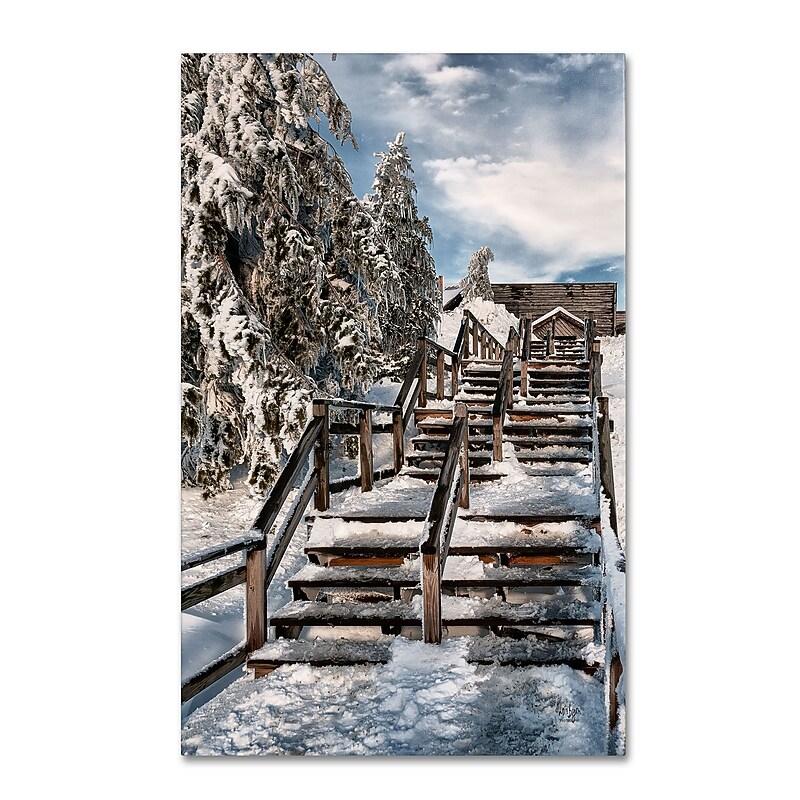 Trademark Fine Art LBR0294-C1219GG "Watch Your Step" by Lois Bryan 19" x 12" Frameless Art image 1