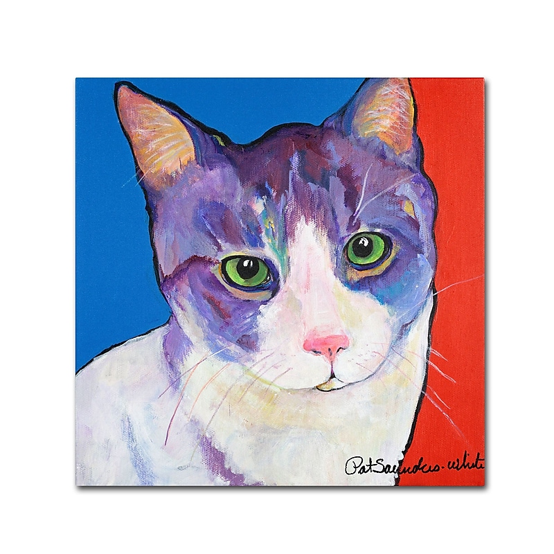 Trademark Fine Art PS128-C3535GG "Nugget" by Pat Saunders-White 35" x 35" Frameless Art image 1