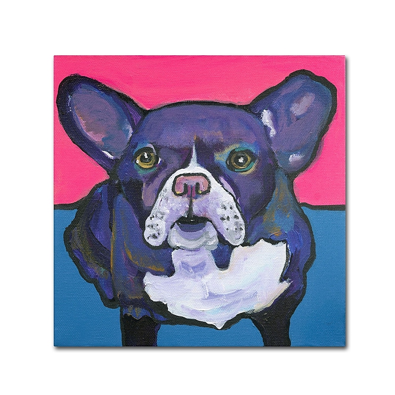 Trademark Fine Art PS132-C1818GG "Radar" by Pat Saunders-White 18" x 18" Frameless Art image 1