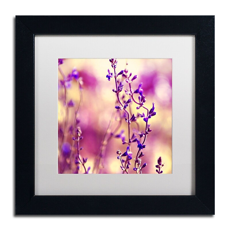 Trademark Fine Art BC0145-B1111MF Summer Melodies by Beata Czyzowska Young 11x11 FRM Art, WHT MTD image 1