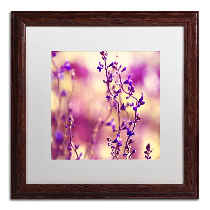 Trademark Fine Art BC0145-W1616MF Summer Melodies by Beata Czyzowska Young 16x16 FRM Art, WHT MTD image 1