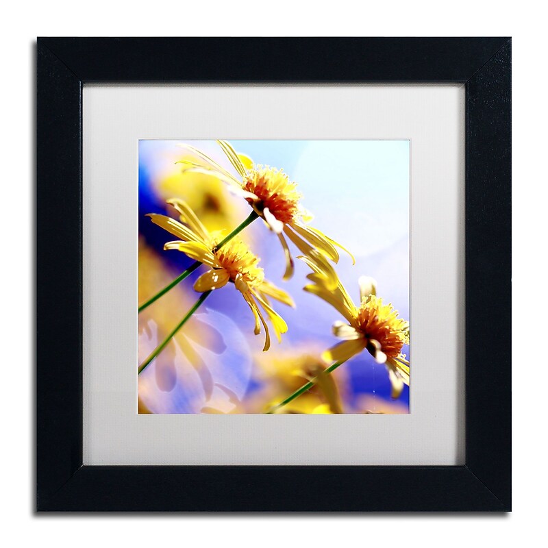 Trademark Fine Art BC0147-B1111MF "Sunny Days" by Beata Czyzowska Young 11" x 11" FRM Art, WHT MTD image 1