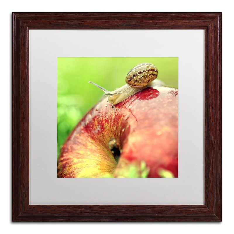 Trademark Fine Art The Very Hungry Snail by Beata Czyzowska Young 16x16 FRM Art, WHT MTD (BC0152-W1616MF) image 1