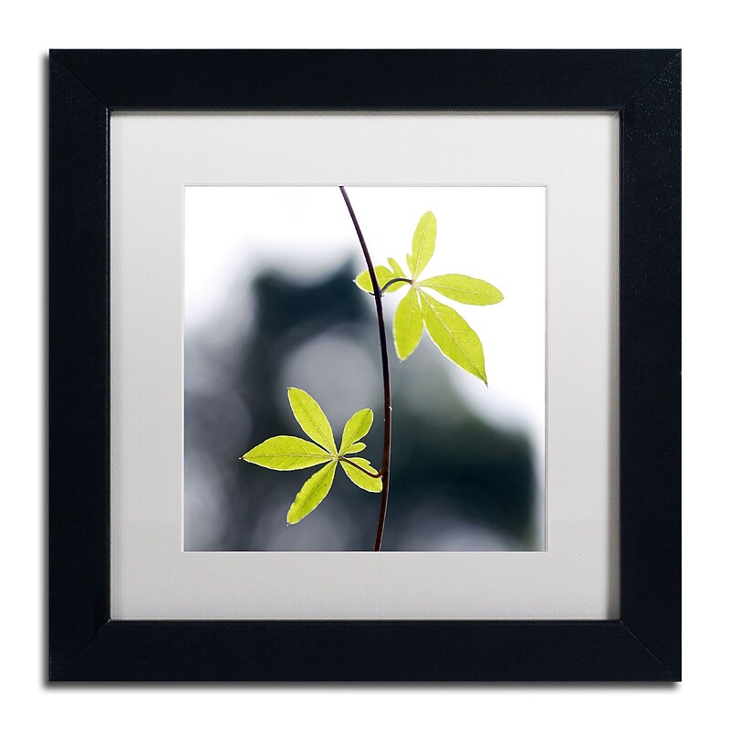 Trademark Fine Art BC0153-B1111MF "Two of Us" by Beata Czyzowska Young 11" x 11" Framed Art, WHT MTD image 1