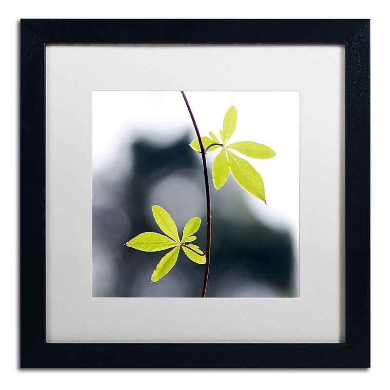 Trademark Fine Art BC0153-B1616MF "Two of Us" by Beata Czyzowska Young 16" x 16" Framed Art, WHT MTD image 1