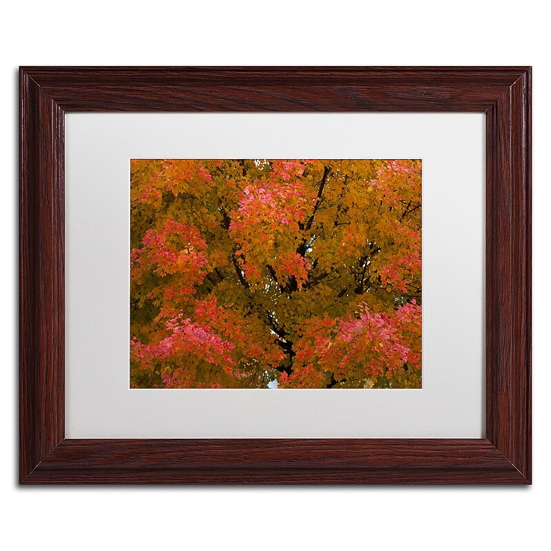 Trademark Fine Art KS0137-W1114MF "Autumn Maple Splendor" by Kurt Shaffer 11" x 14" FRM Art, WHT MTD image 1