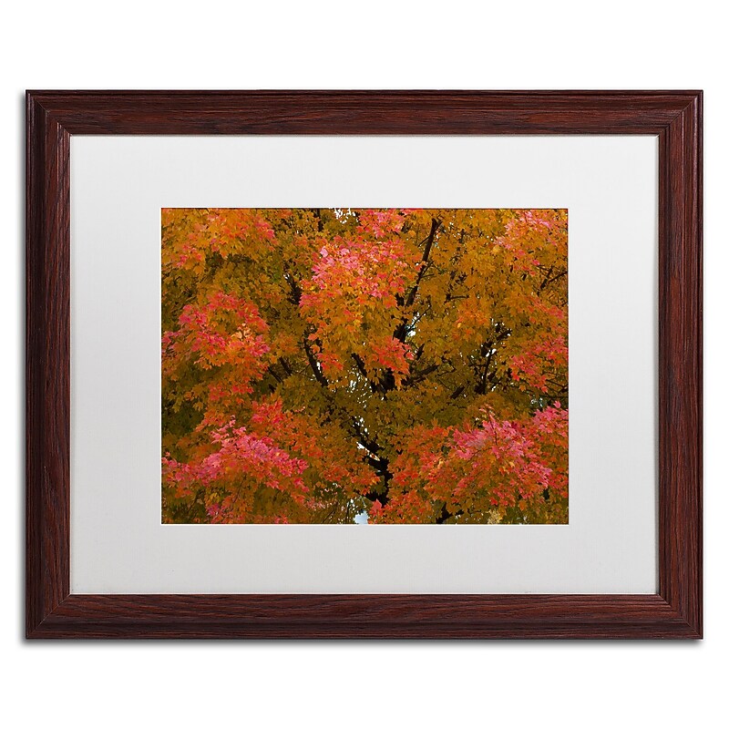 Trademark Fine Art KS0137-W1620MF "Autumn Maple Splendor" by Kurt Shaffer 16" x 20" FRM Art, WHT MTD image 1