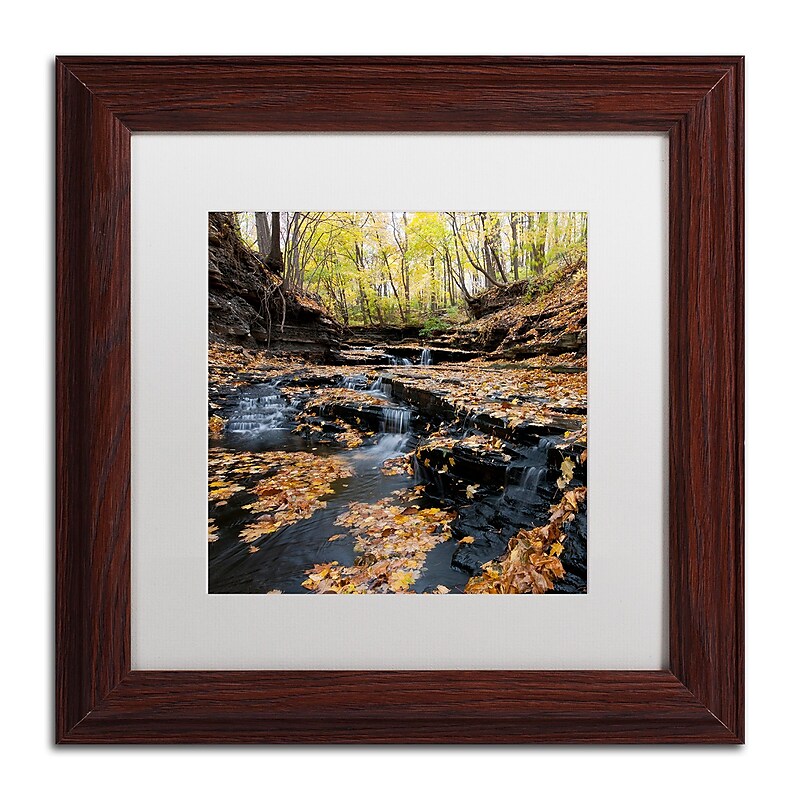 Trademark Fine Art KS0140-W1111MF "Lakeview Autumn Falls" by Kurt Shaffer 11" x 11" FRM Art, WHT MTD image 1