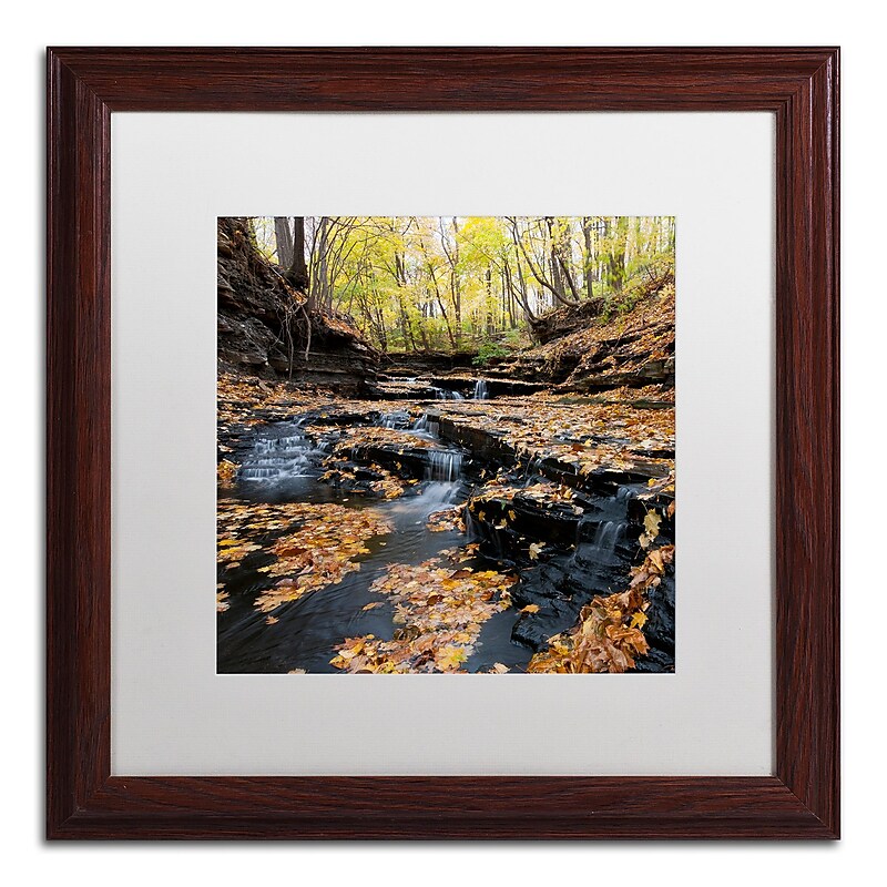 Trademark Fine Art KS0140-W1616MF "Lakeview Autumn Falls" by Kurt Shaffer 16" x 16" FRM Art, WHT MTD image 1