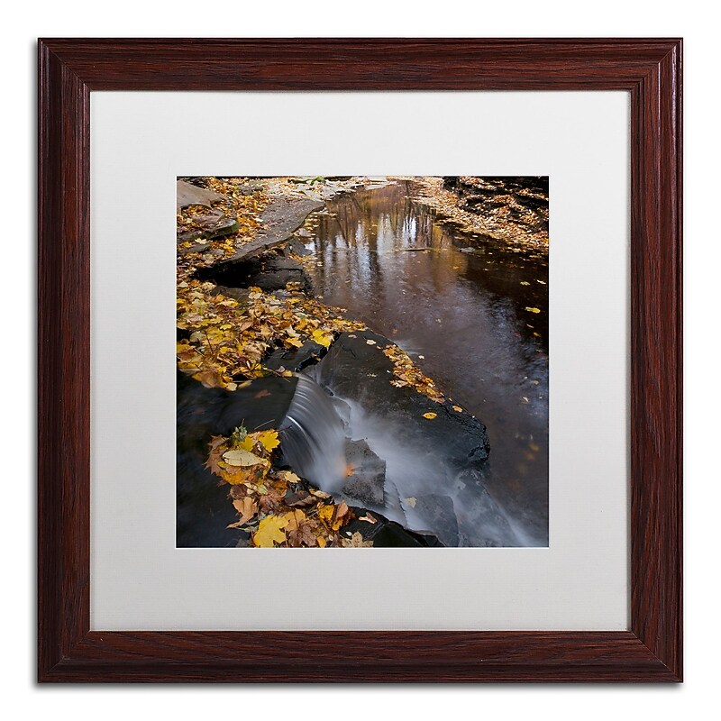 Trademark Fine Art Lakeview Autumn Waterfall #2 by Kurt Shaffer 16x16 FRM Art, WHT MTD (KS0141-W1616MF) image 1