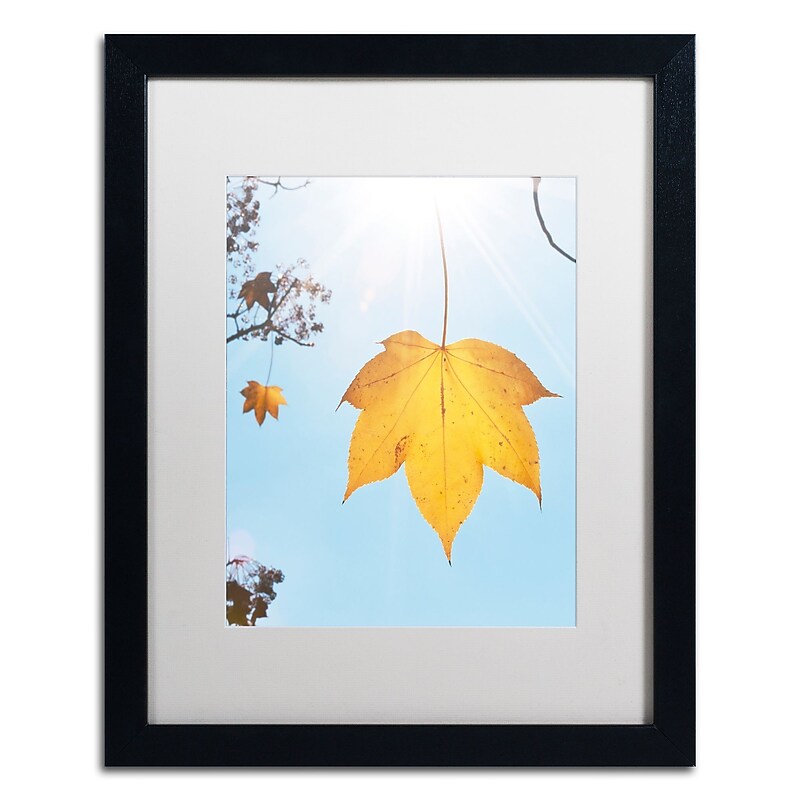 Trademark Fine Art KS0146-B1620MF Autumn Leaf in the Sun by Kurt Shaffer 16x20 FRM Art, WHT MTD image 1