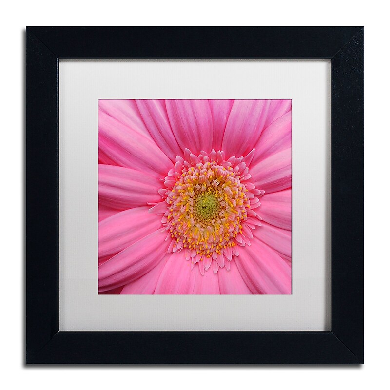 Trademark Fine Art KS0158-B1111MF "Pink" by Kurt Shaffer 11" x 11" Framed Art, White Matted image 1