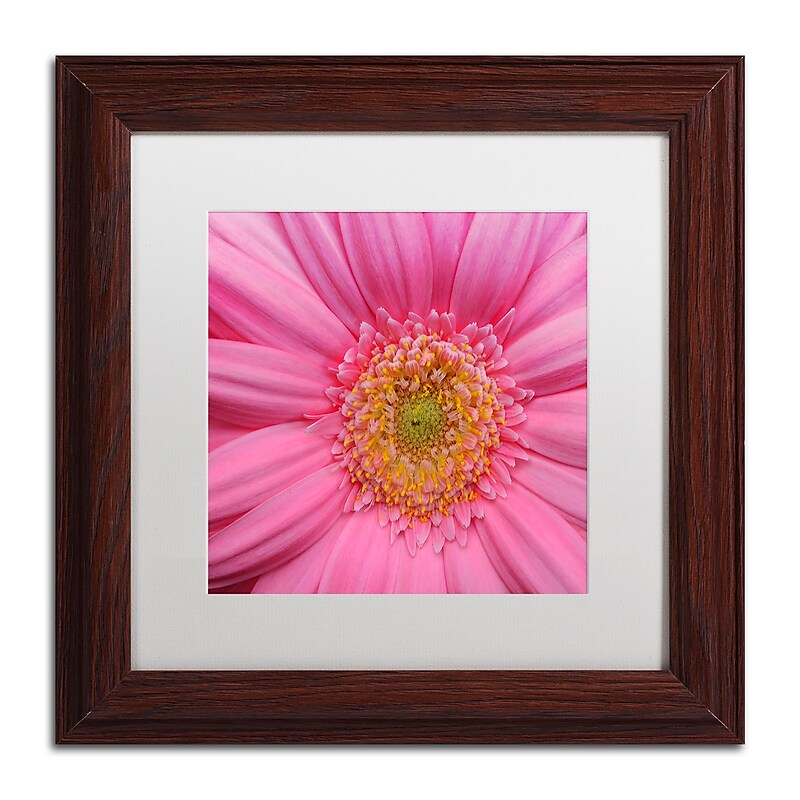 Trademark Fine Art KS0158-W1111MF "Pink" by Kurt Shaffer 11" x 11" Framed Art, White Matted image 1