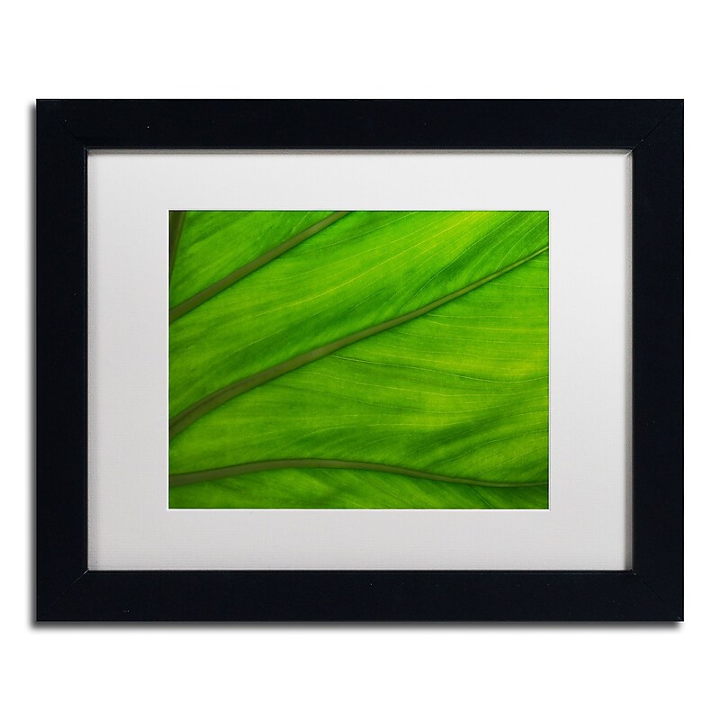 Trademark Fine Art KS0162-B1114MF Green Elephant Ear Abstract by Kurt Shaffer 11x14 FRM Art, WHT MTD image 1