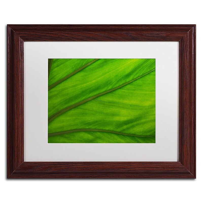 Trademark Fine Art KS0162-W1114MF Green Elephant Ear Abstract by Kurt Shaffer 11x14 FRM Art, WHT MTD image 1