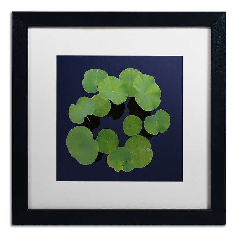 Trademark Fine Art KS0175-B1616MF Giant Lily Pad Abstract by Kurt Shaffer 16x16 FRM Art, WHT MTD image 1