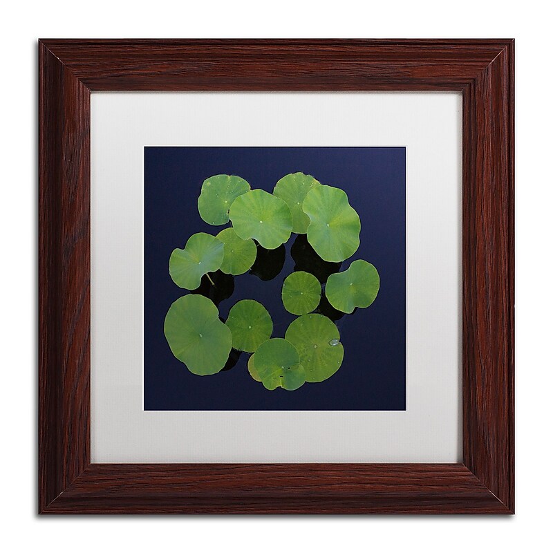 Trademark Fine Art KS0175-W1111MF Giant Lily Pad Abstract by Kurt Shaffer 11x11 FRM Art, WHT MTD image 1
