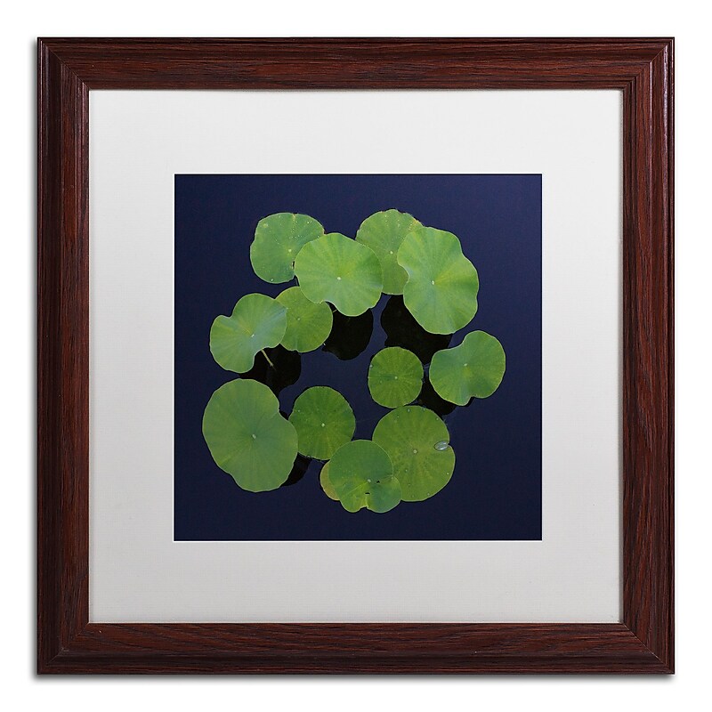 Trademark Fine Art KS0175-W1616MF Giant Lily Pad Abstract by Kurt Shaffer 16x16 FRM Art, WHT MTD image 1