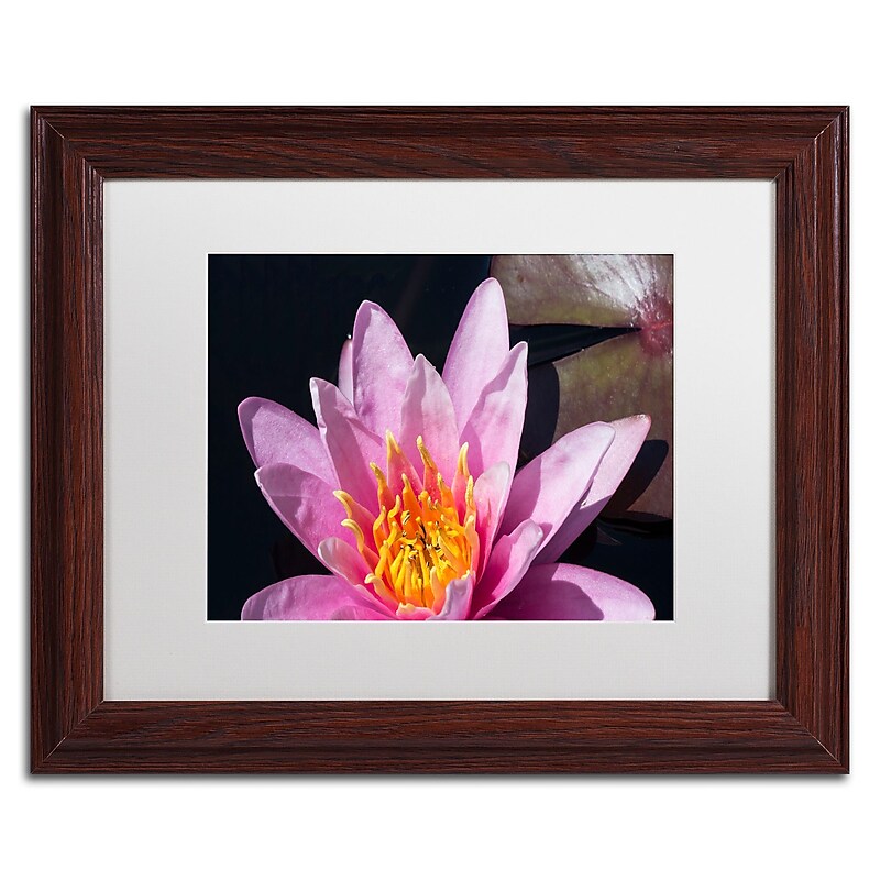 Trademark Fine Art KS0176-W1114MF "Pink Lotus" by Kurt Shaffer 11" x 14" Framed Art, White Matted image 1