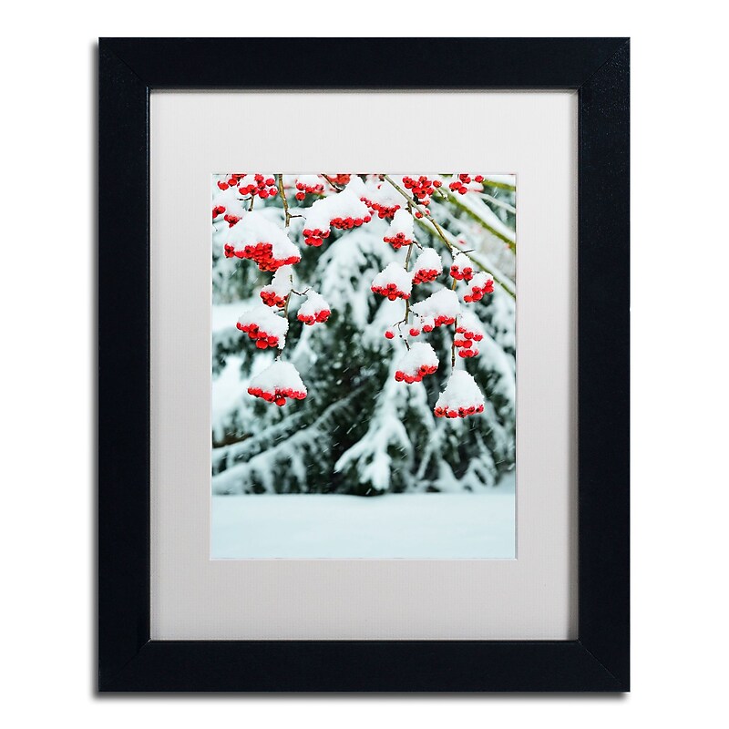 Trademark Fine Art KS0189-B1114MF inter Berries and Pine by Kurt Shaffer 14x11 FRM Art, WHT MTD image 1
