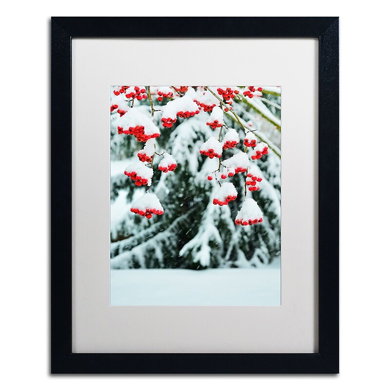 Trademark Fine Art KS0189-B1620MF inter Berries and Pine by Kurt Shaffer 20x16 FRM Art, WHT MTD image 1
