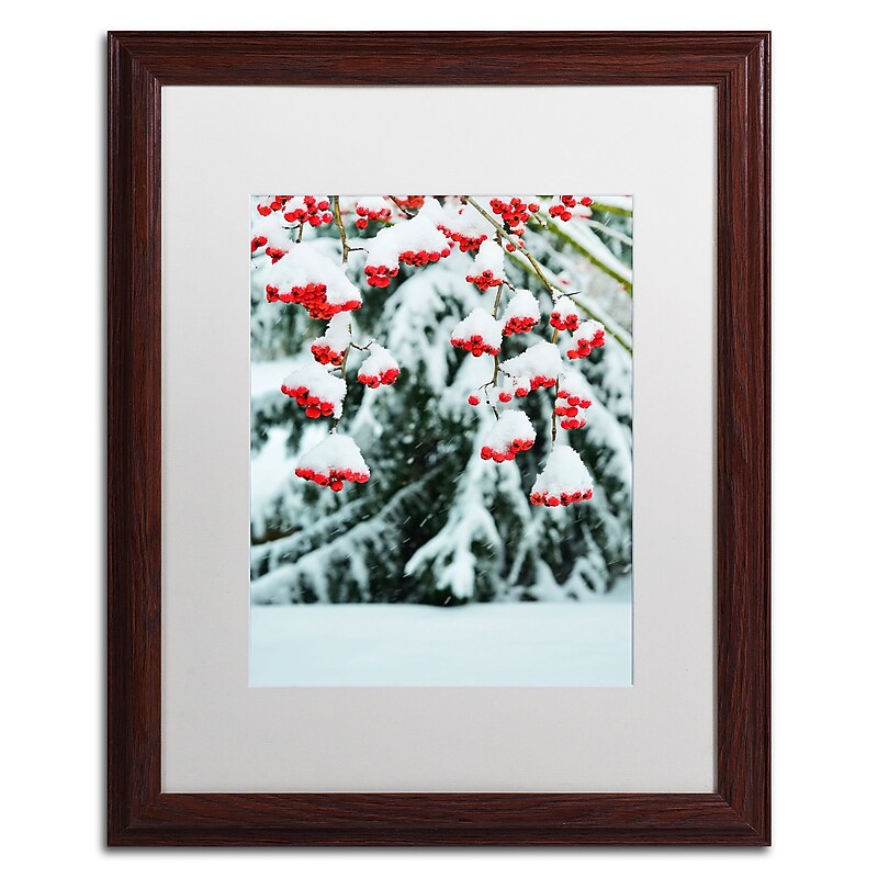 Trademark Fine Art KS0189-W1620MF inter Berries and Pine by Kurt Shaffer 20x16 FRM Art, WHT MTD image 1