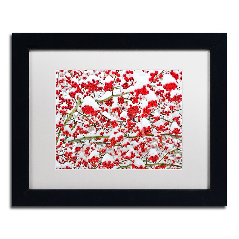 Trademark Fine Art KS0190-B1114MF inter Berries in the Snow by Kurt Shaffer 11x14 FRM Art, WHT MTD image 1