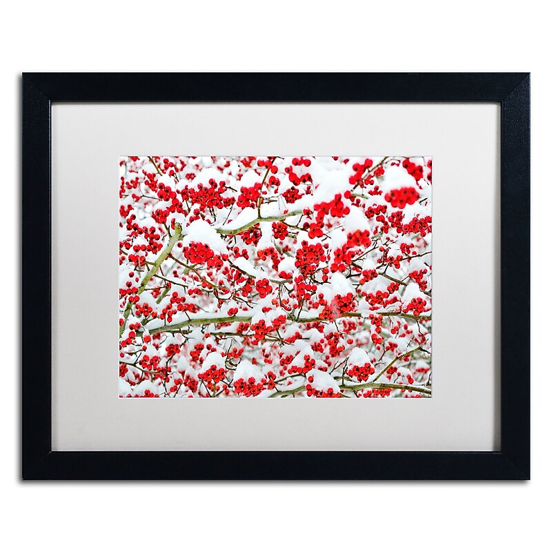 Trademark Fine Art KS0190-B1620MF inter Berries in the Snow by Kurt Shaffer 16x20 FRM Art, WHT MTD image 1